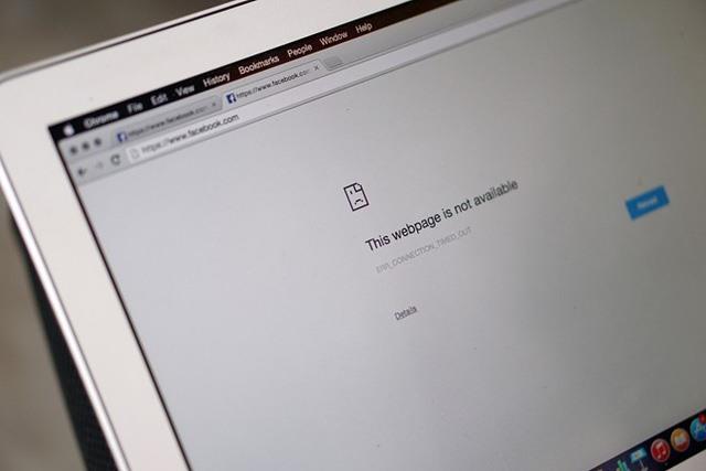 Internet in Viet Nam expected to be slow until Tet