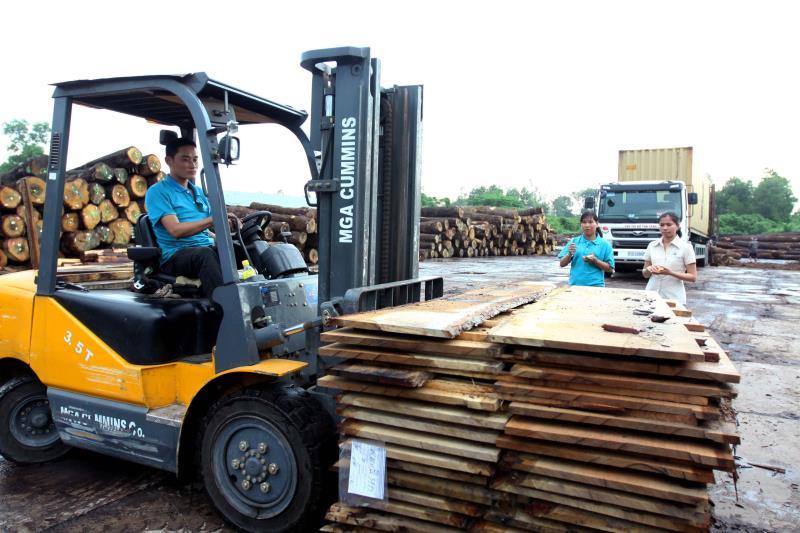 Chinese buyers depleting VNs raw lumber