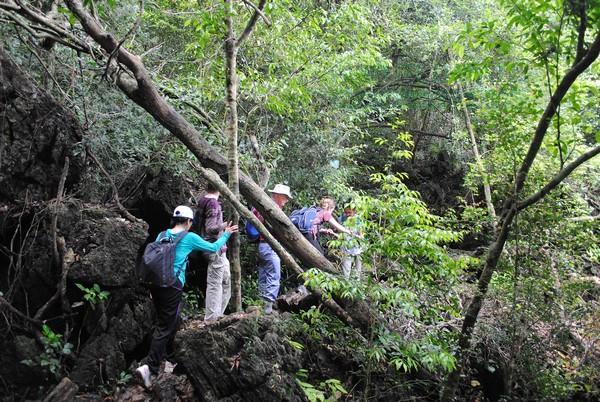 Tourism expected to drive Hai Phong forward