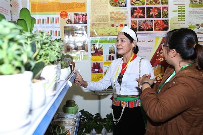 Time for VN agriculture go hi-tech