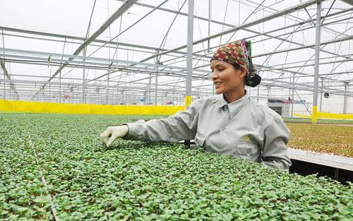 Agriculture urged to automatise with IoT