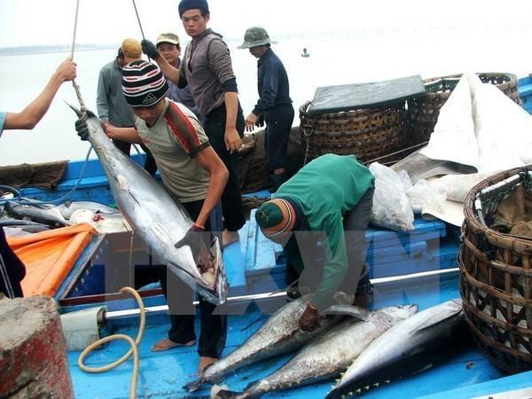 Get Japan to remove tuna import duty: exporters