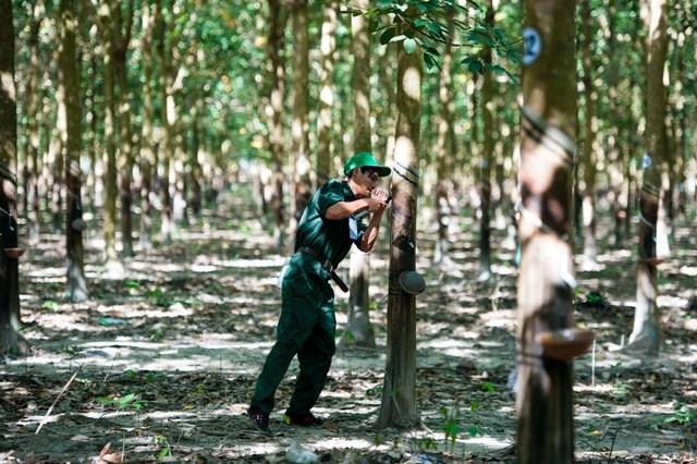 Rubber giant plans IPO, exchange listing