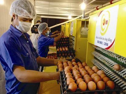 Ba Huan Company to diversify into processed foods