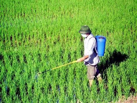 VNs fertiliser and pesticide imports from China fall sharply