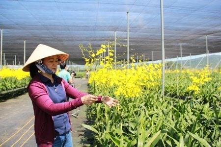 Vinh Long to host investment promotion conference