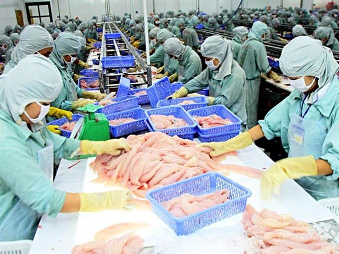 Vinh Long targets 107m in aquaculture
