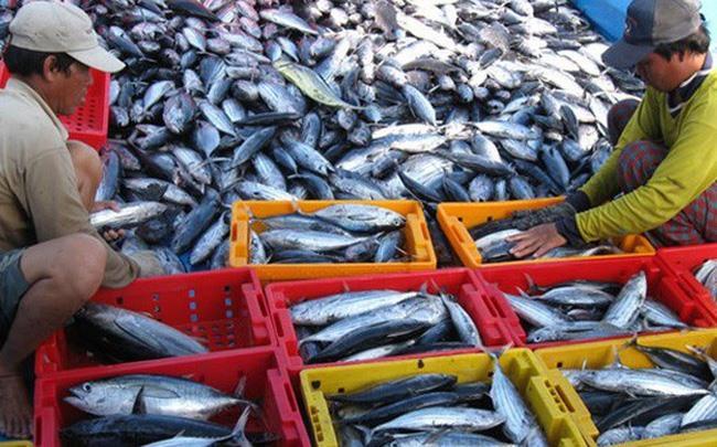 Agriculture ministry seeks to surpass targets