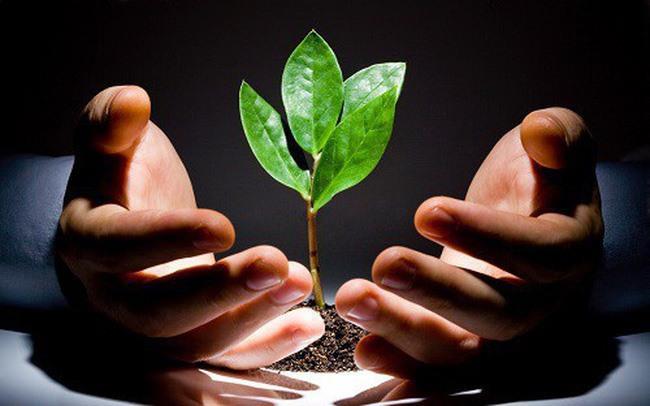 Start-ups to be given 30% of investment from State budget