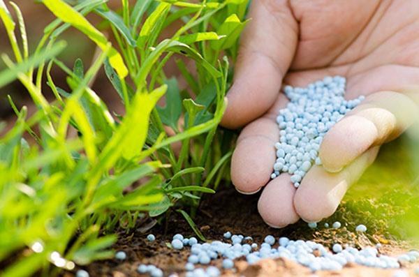 MoIT imposes safeguard measures on imported fertilisers