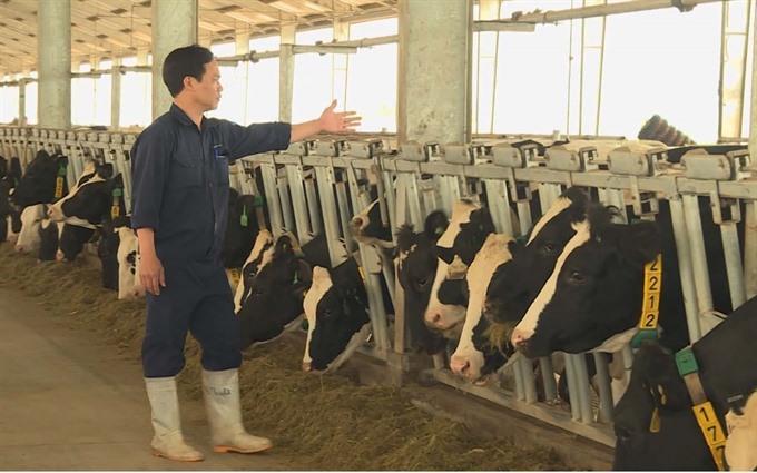 Humble earnings targeted for 2018: Vinamilk