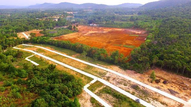 Phu Quoc struggles to control land speculation