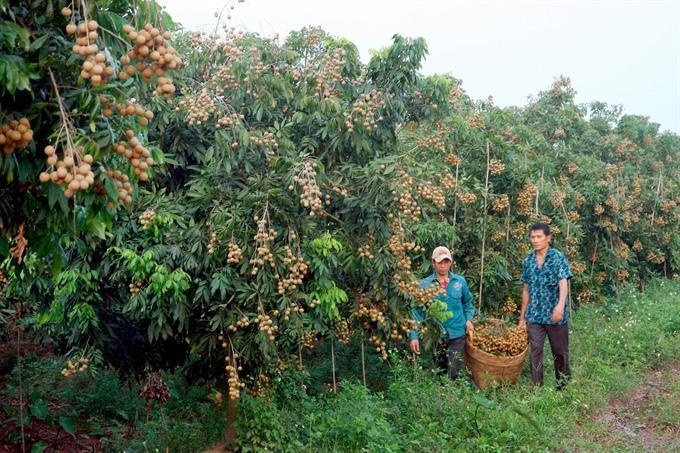 Branding critical amid FTAs