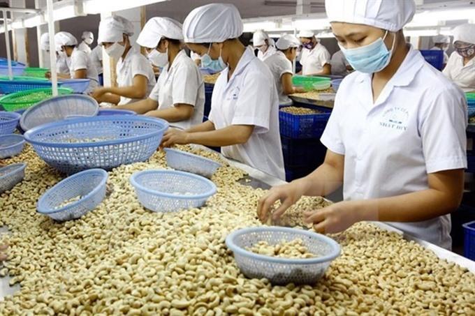 Cashew exports rise strongly in first quarter