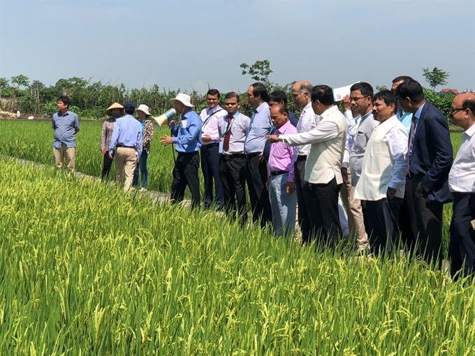 VN-India set to boost trade ties