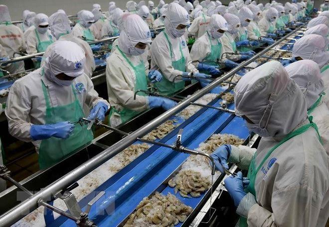 Viet Nams exports of seafood to EU crash