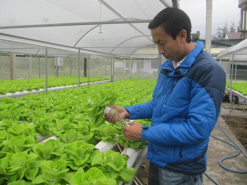 Central city to host intl start-up event