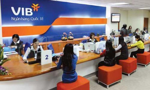 Financial experts urge caution against dollar loans