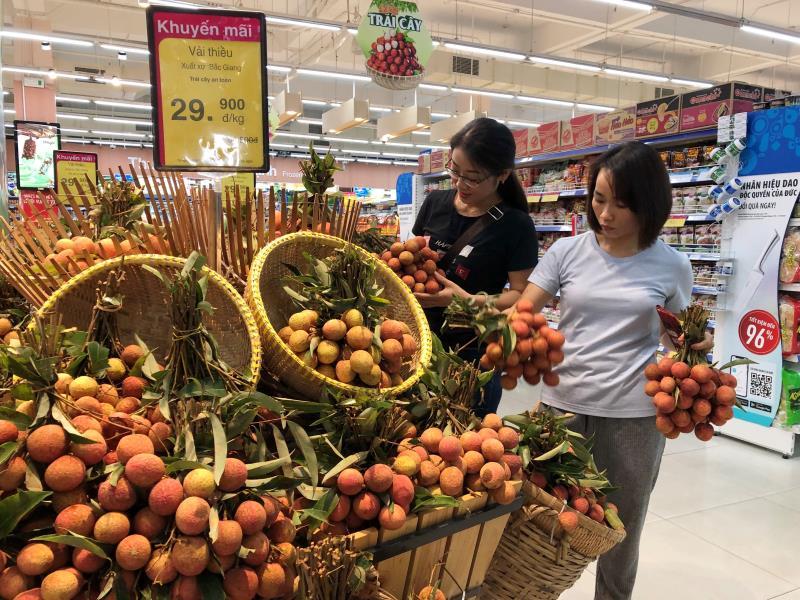 Saigon Co.op to buy 400-600 tonnes of Luc Ngan, Thanh Ha lychees