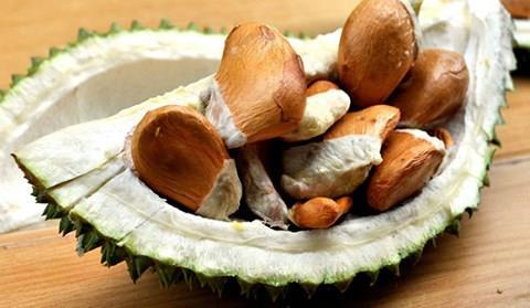 Demand for durian seeds surges