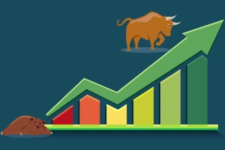 Finance, agriculture, rubber stocks drive VN Index