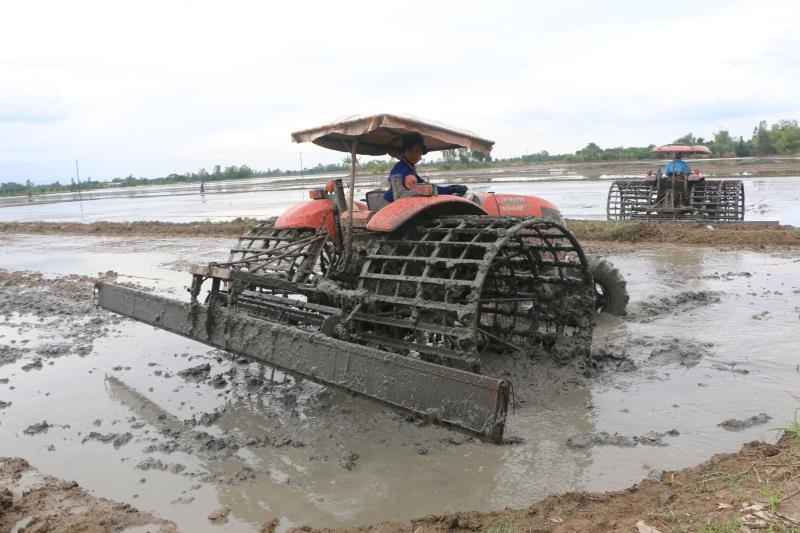 Incentives needed for agri sector