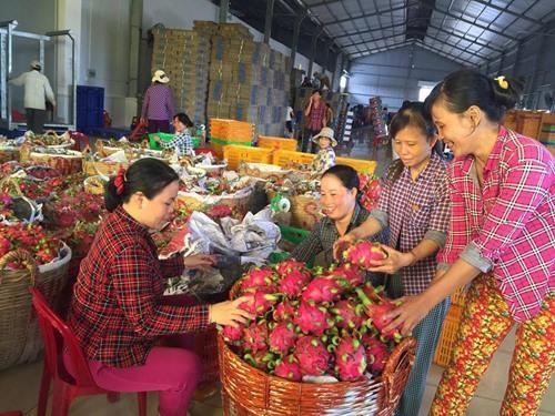 EU offers export opportunities