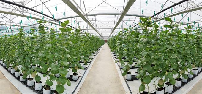 PAN Group sells 10% stake to Sojitz for 35 million