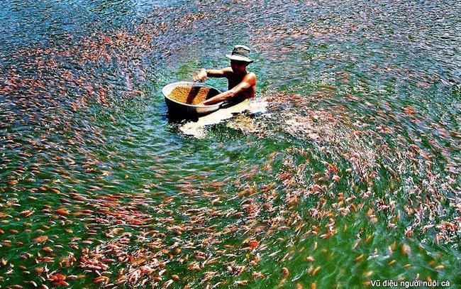 HVG posts 387,000 in profit for FY 2017-18