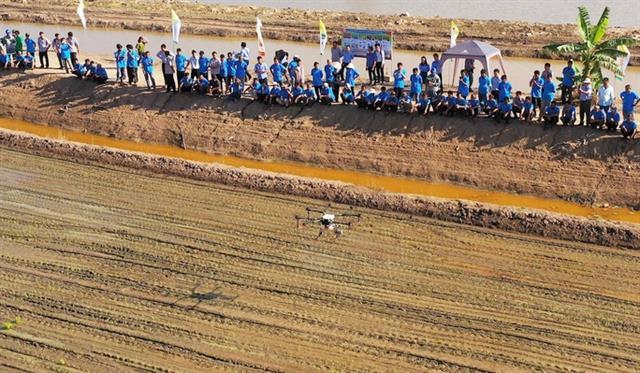 Loc Troi uses drones to spray pesticides on rice fields