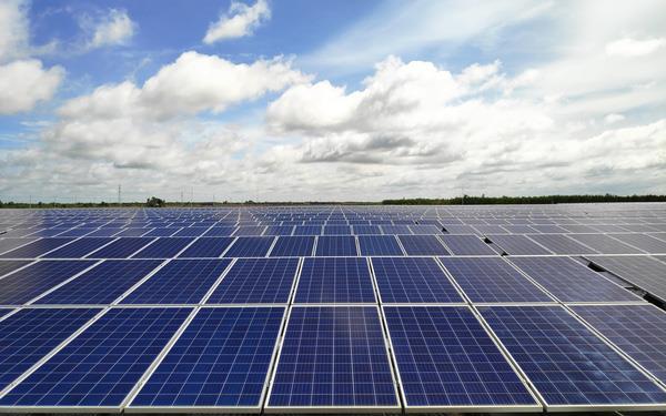 Bamboo Capital chairman to raise stake to 20 per cent