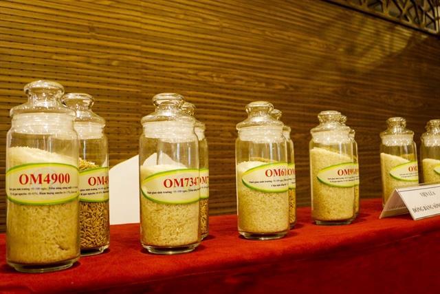 Hong Kong firms want to import rice from Can Tho