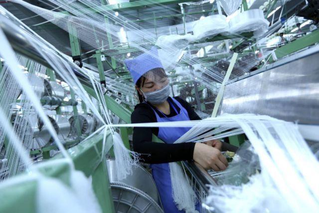 Private sector should be pillar of Viet Nam economy: expert