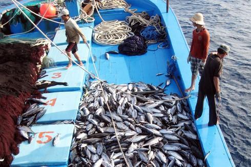 EC recognises Viet Nams improvements in combating IUU fishing
