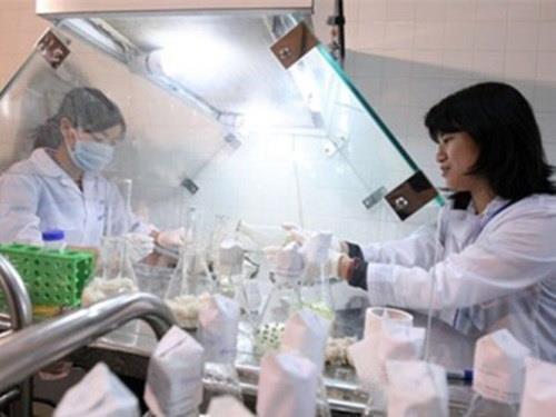HCMC to establish links between laboratories, firms