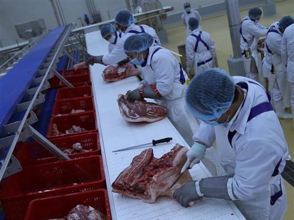 Singaporean fund raises stake in Masan to 5.67 per cent