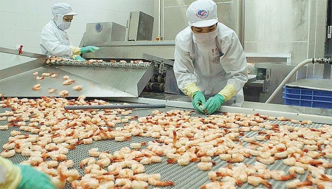 VN targets 4.2b shrimp exports