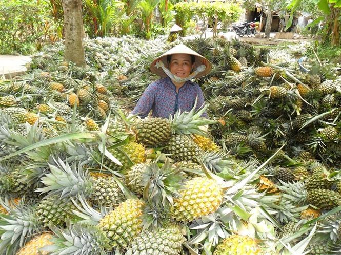 Hau Giang plans 69 million agribusiness project