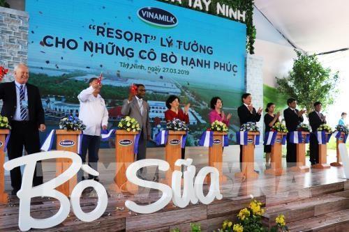 Viet Nams biggest dairy farm opens in Tay Ninh