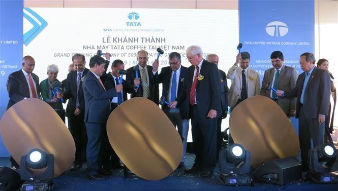 Tatas freeze dried coffee plant opens