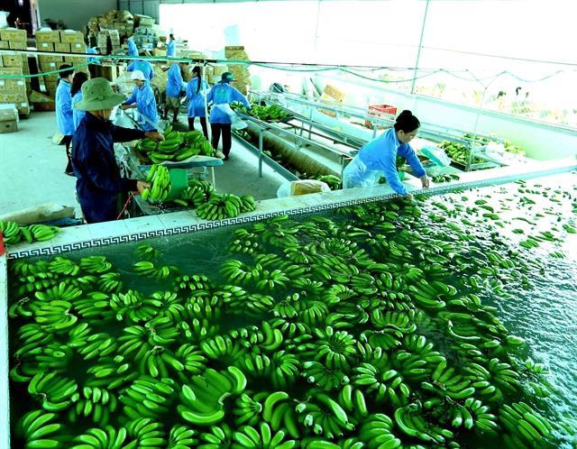 Ministry releases 2018 import-export report