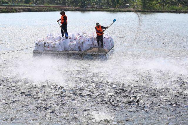 No capital shortages for prioritised sectors: SBV