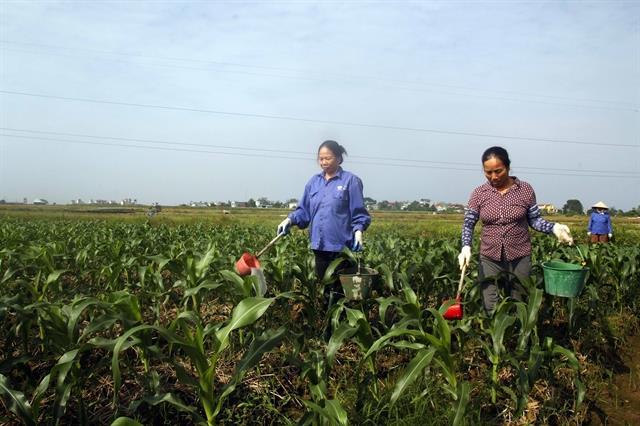 2nd Co-operative Registrars Forum opens in HCM City