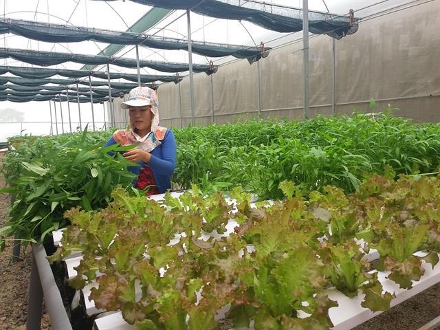 City Party chief calls on the use of technology to improve quality