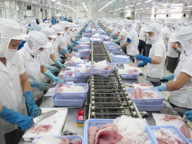 Tra fish exports to China on the rise