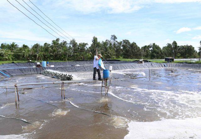 Ca Mau targets US1.2 billion in aquatic exports