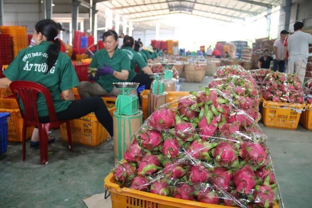 Almost 500m invested in farm product processing industry  in H1