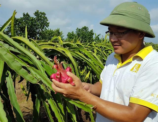 Viet Nam, Israel eye 1 billion in two-way trade