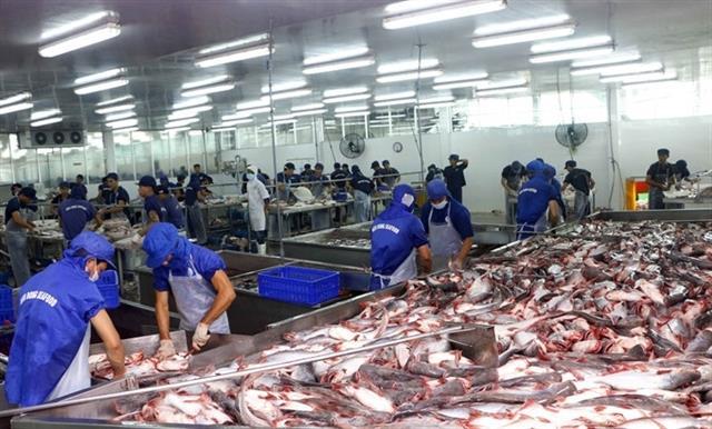 Tra fish companies see stock prices plummet