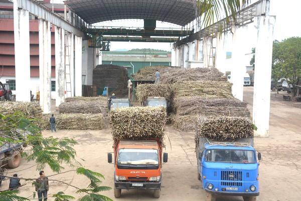 Sugar firm to meet shareholders at end of month